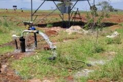 WhatsApp-Image-2026-03-13-at-23.46.54