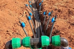 WhatsApp-Image-2026-03-25-at-13.27.55-3