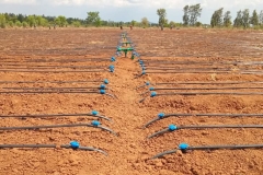 WhatsApp-Image-2026-03-25-at-13.27.55